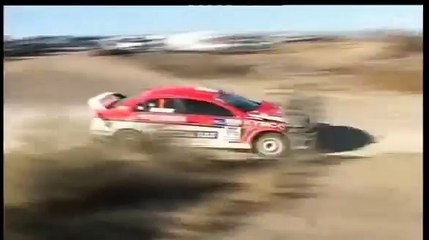 Accidente rally carro atropela cavalo ao vivo