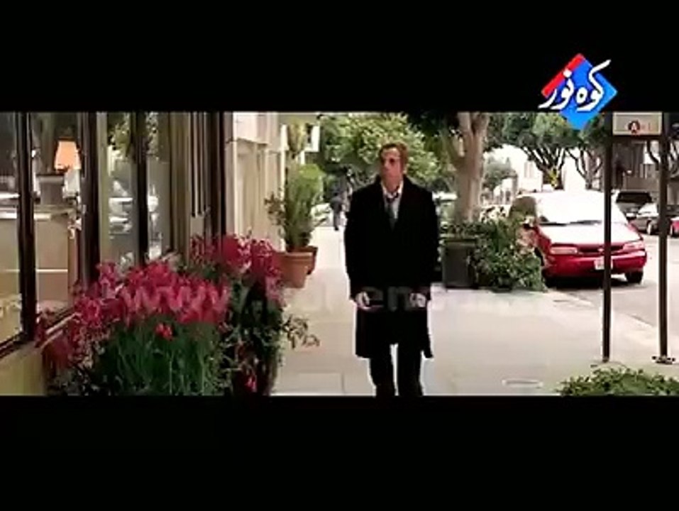 punjabi tota