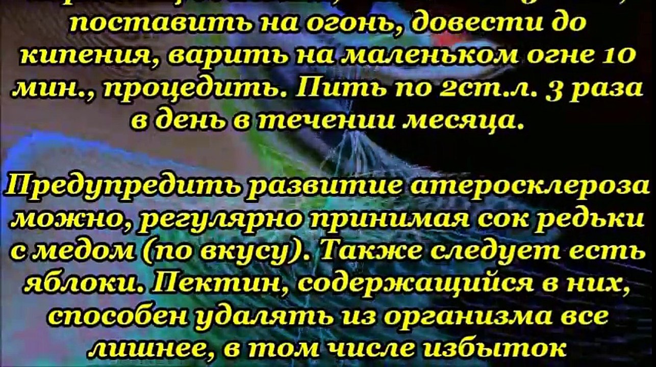 Профилактика атеросклероза народными средствами