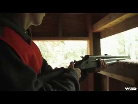 White-tail Deer Hunting In The Woods