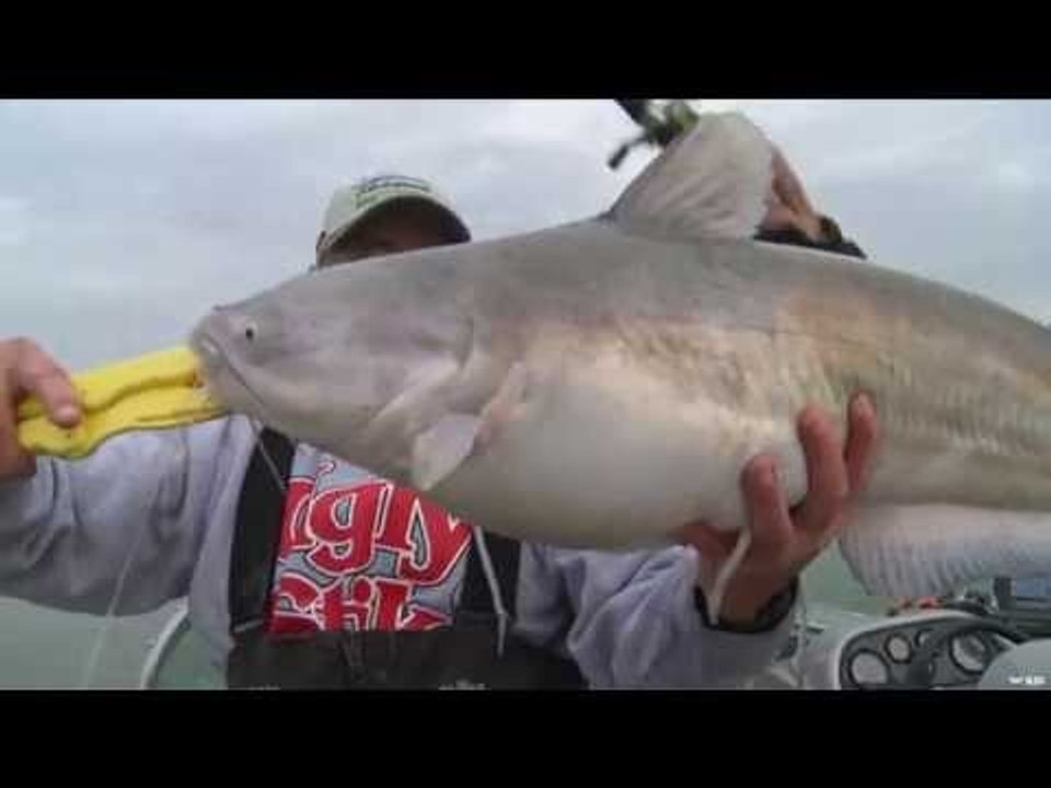 Prime Time Catfish Fishing