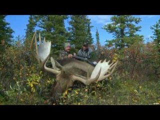 Hunting Moose in Alaska