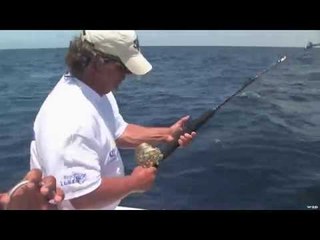 Dorado Fishing on the East Cape