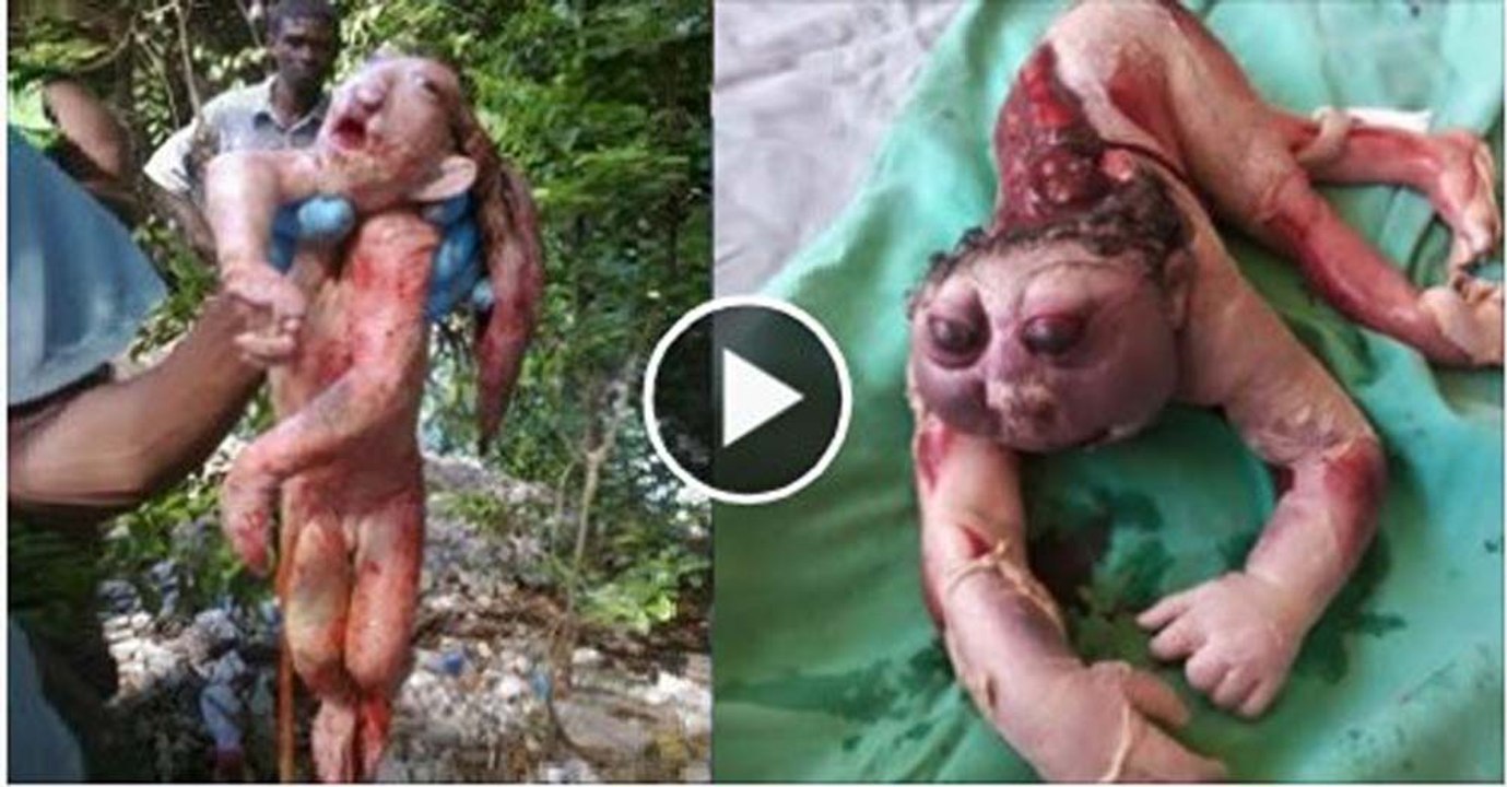 Creature found