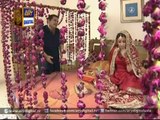 Bulbulay Episode 387 HD 15 Feb 2016 On Ary Digital