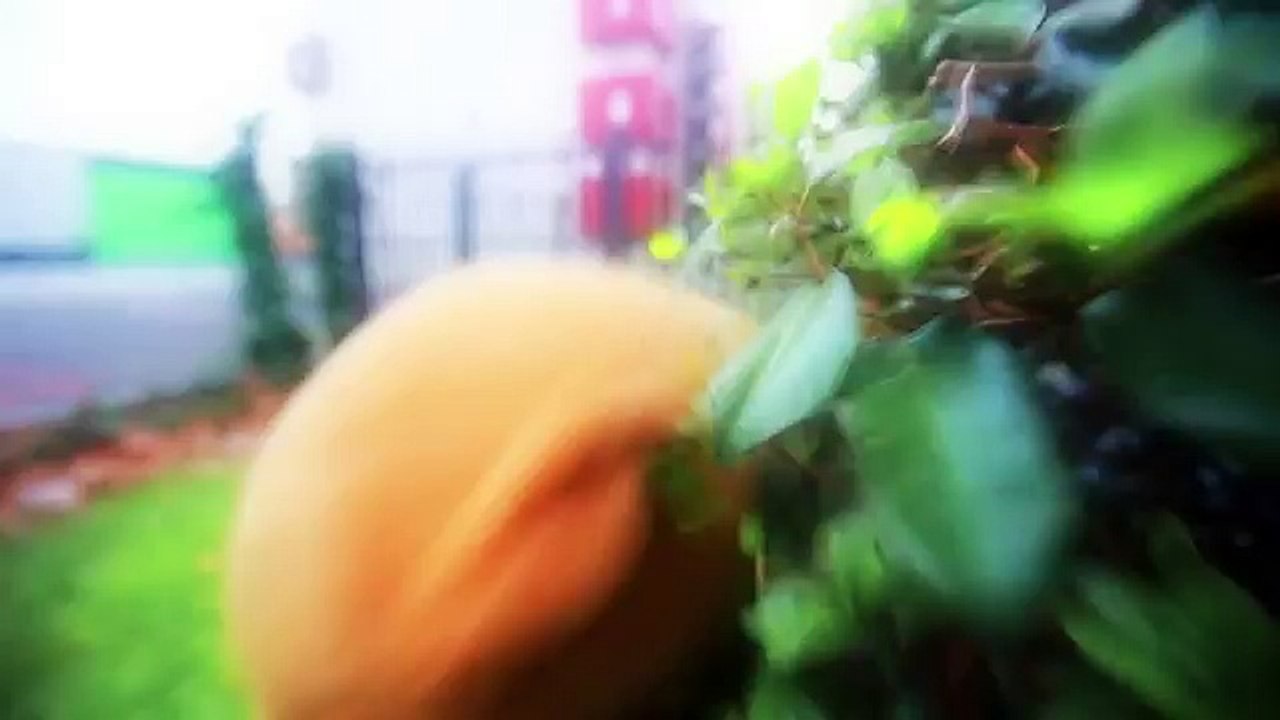 Mon petit coeur d'amour