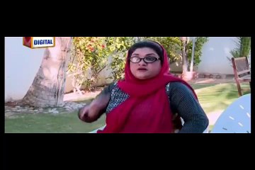 Bulbulay Episode 386 on Ary Digital  Pak Drama