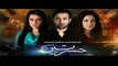 Hasratein Episode 18 on PTV Home Pak Drama – 14  February 2016