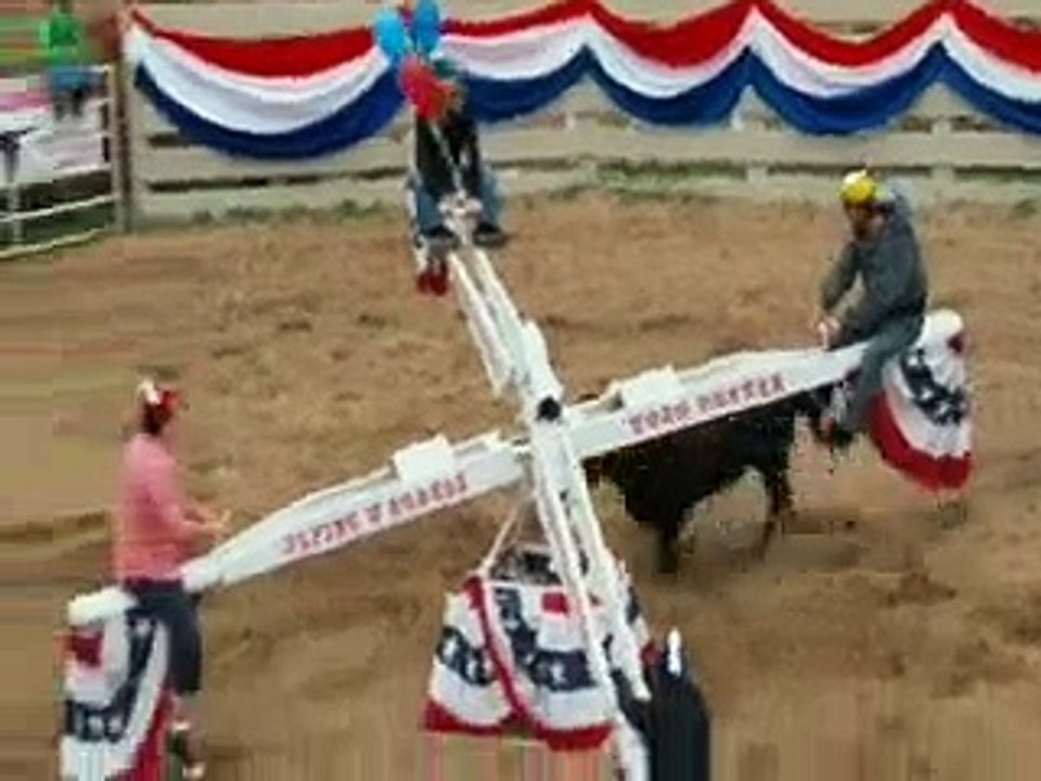 Crazy Bull Game
