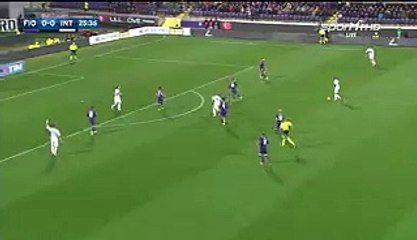 Marcelo Brozovic Goal HD - Fiorentina 0-1 Inter - 14-02-2016