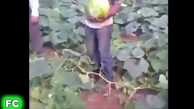 Crazy Clips & Epic FAILS ★ 2016 Compilation Fail Funny Videos