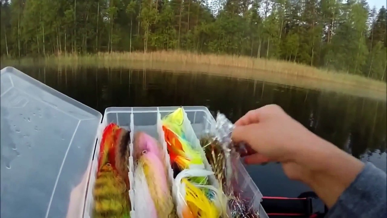 Catching pike by fly rod on the streamer . Fly fishing.