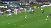 Marcelo Brozovic Goal HD - Fiorentina 0-1 Inter - 14-02-2016