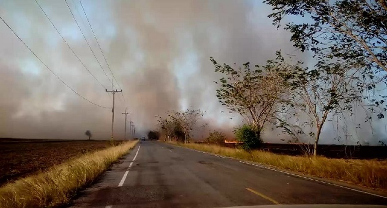 Ne jamais traverser un épais nuage de fumée en voiture