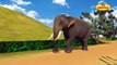 Haathi __ An Elephant 3D Animation Hindi Nursery Rhyme For Children
