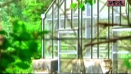 Биологическое оружие - гибель человечества