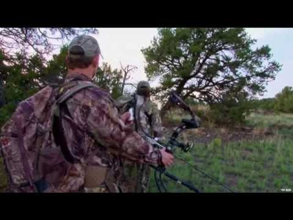 Pie Town Elk Hunting