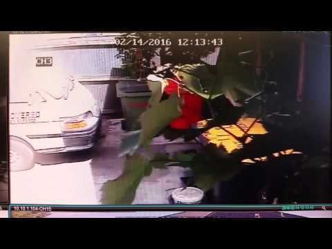 Christchurch Earthquake Throws Water From Hostel Pool