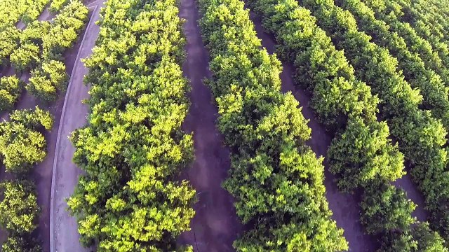 Protecting Irrigation Well Pumps from Sand Damage