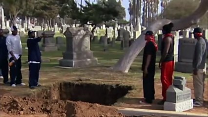 Bloods & Crips Shooting