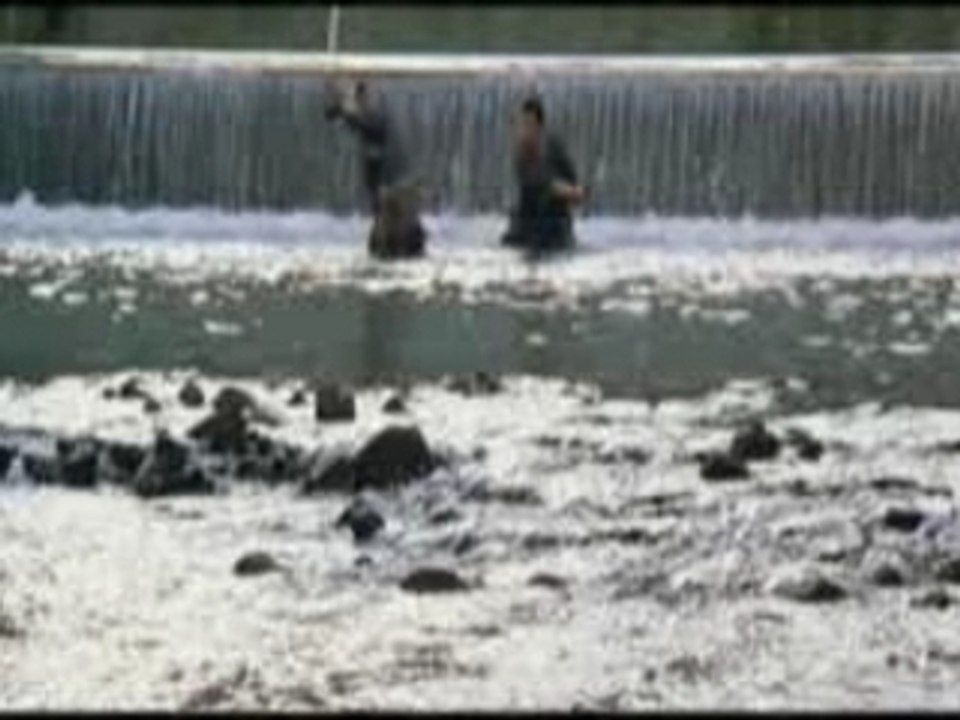 Shogun assassin