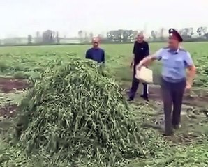 ХА прикол!))) Бог наказал мента за поджег АНАШИ )))))