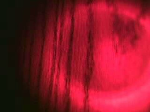 Alex Jones Show Snippet Sunday February 14 2016