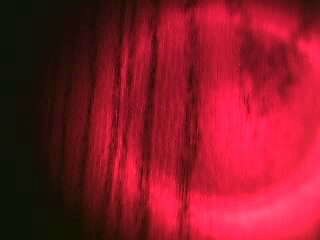 Alex Jones Show Snippet Sunday February 14 2016