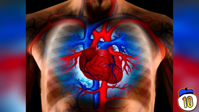 15 Things You Didnt Know About Your Own Body