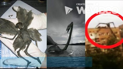 Top 10 Mysterious Photos That Cannot Be Explained