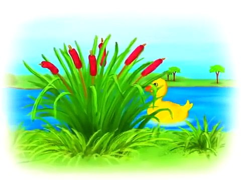 Tiny Love Развивающий мультфильм для детей от 6 месяцев - 2 года Tiny Love developing cartoon