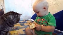 Baby and Cat Eating Together