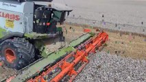 ETA GERNEZ avec une CLAAS lexion 600 et coupe V1050 et FENDT 939 BLACK BEAUTY et sa maupu