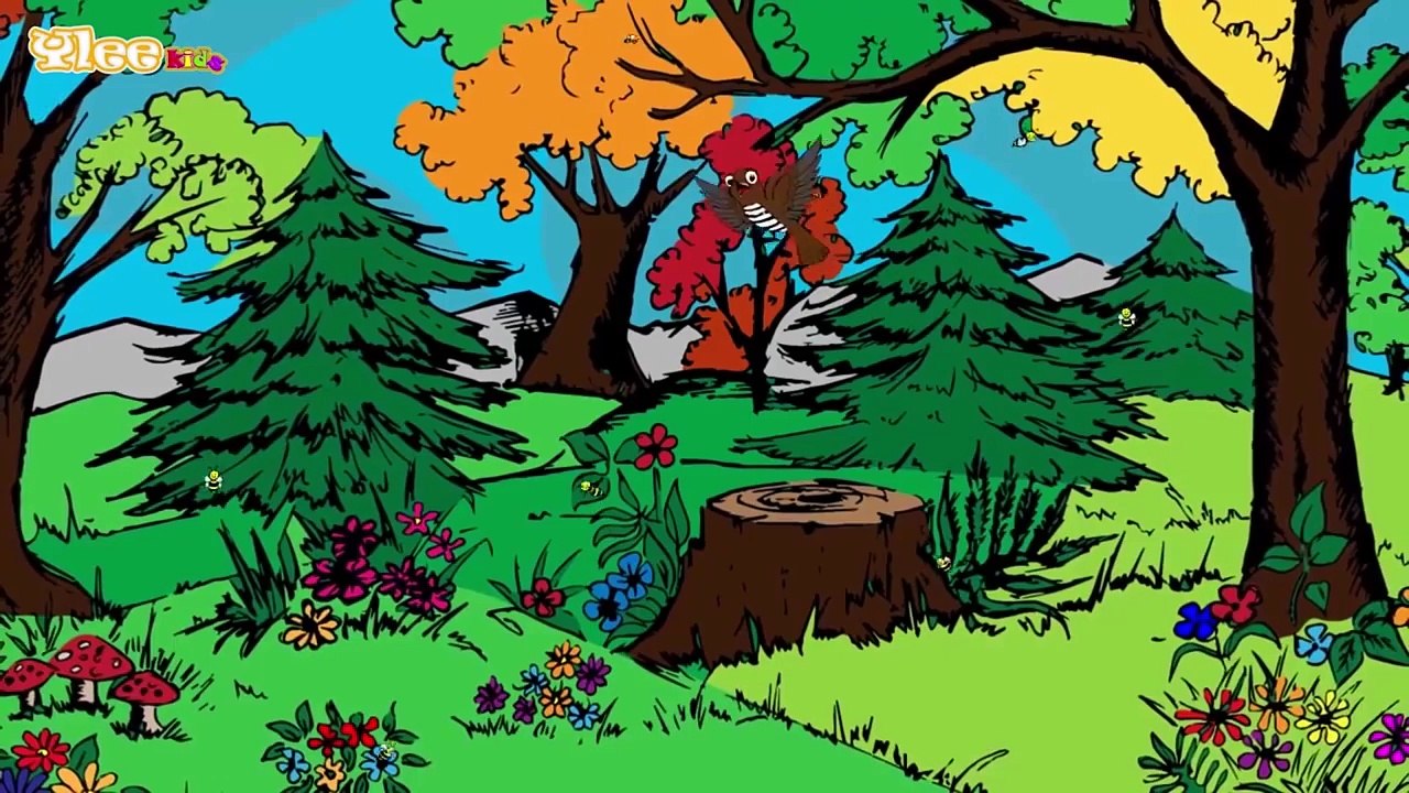 Cuco, cuco canta en el bosque Aprender español con canciones infantiles Yleekids