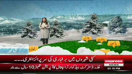 White Palace (Marghazar-Swat) Snowfall Report by Sherin Zada