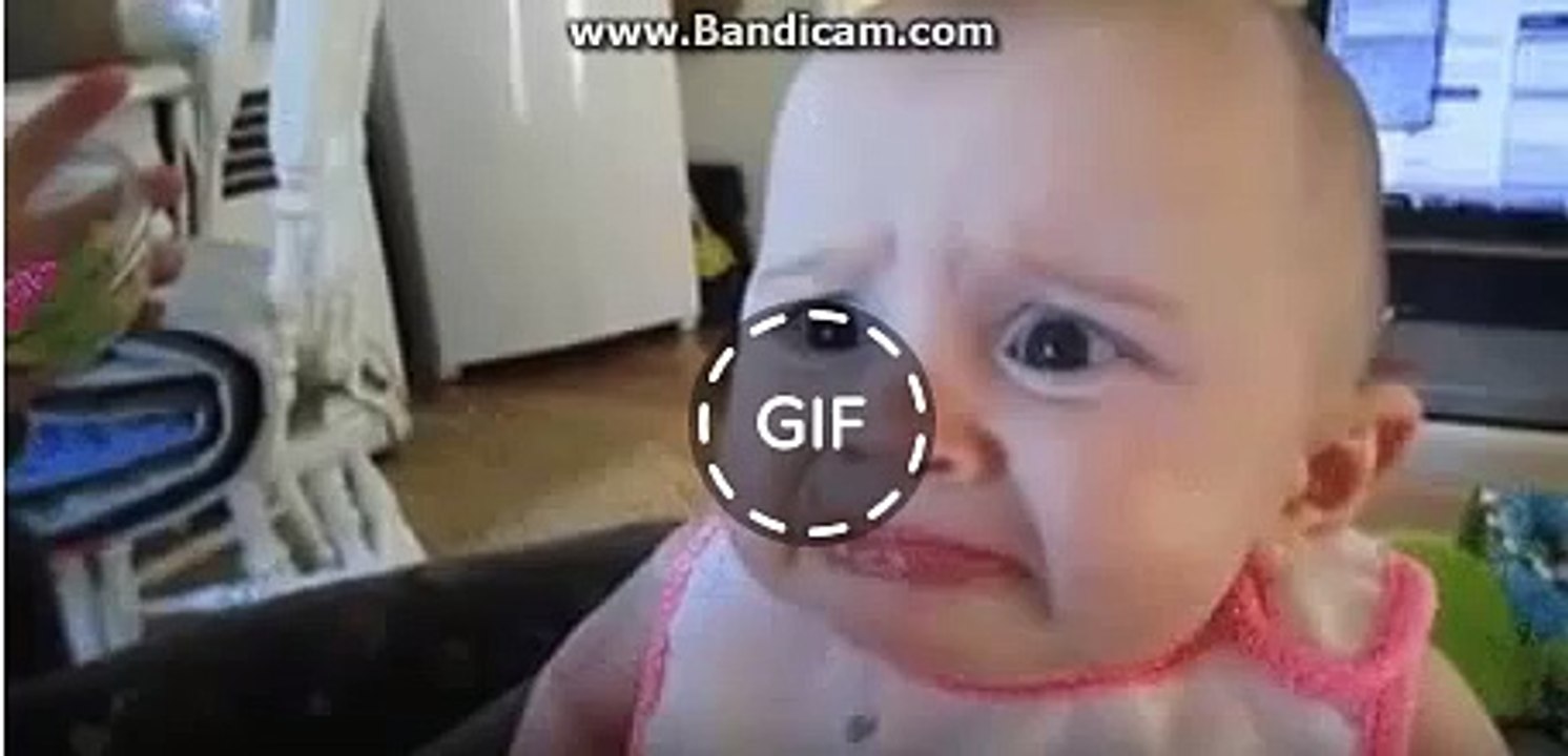 FUNNY VIDEOS: Funny Baby - Funny Moments Compilation 2016 Funny Baby (Funny Videos 720p)