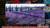 Download PDF  Provence Style Landscapes Houses Interiors Details Icons FULL FREE