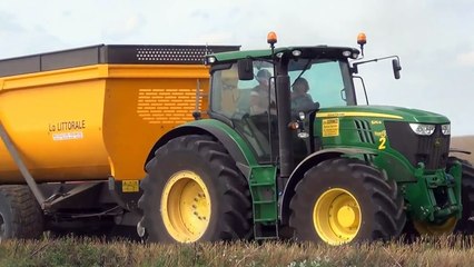 CLAAS lexion 780 et 770 à la moisson du colza en 2013 dans l Aisne