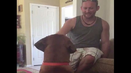 Owner Learns Why He Should not Tease His Dog