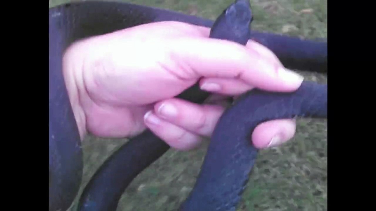 Woman Scares Husband With Huge Pet Snake