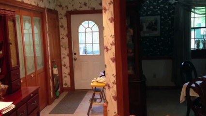 Zeus The Dog Opens And Closes The Door