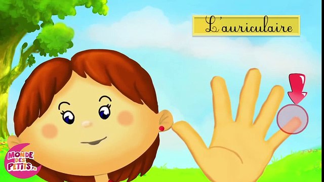 Apprendre les doigts de la main