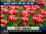 Mughal gardens in Rashtrapati Bhavan to be open for public from Friday