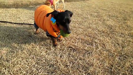 부평출장안마↴O1Ø↔6821↔6058↴부평출장↴출장안마업소↴파주출장마사지ᕈ