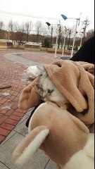 구로출장안마✖O1Ø↔6821↔6058✖구로출장✖출장안마란제리✖파주출장안마♤