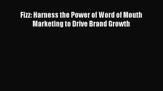 Read Fizz: Harness the Power of Word of Mouth Marketing to Drive Brand Growth Ebook Free