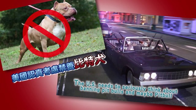 U.S. needs to seriously consider banning deadly pit bulls (and maybe Pitbull, too)