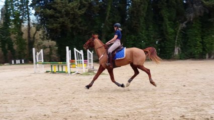 Concours entrainement 70/80