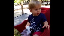 Baby Tries to Eat Bird - Funny Animals Channel