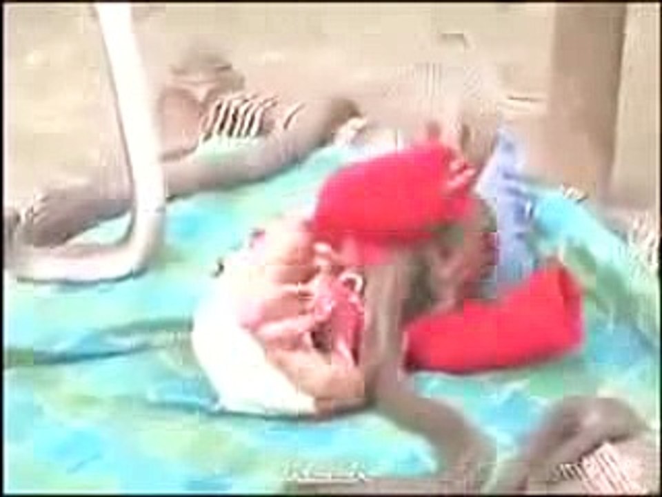 cobra